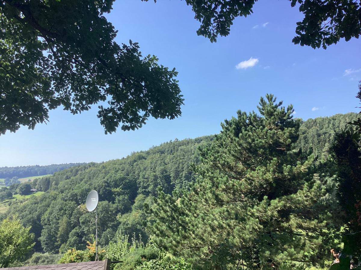 Chalet Spessart Dammbach Екстериор снимка