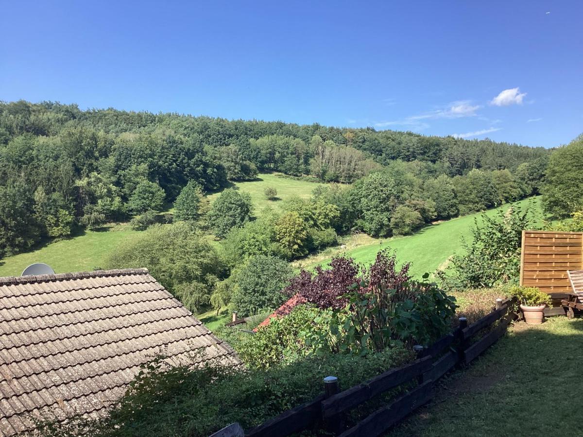 Chalet Spessart Dammbach Екстериор снимка